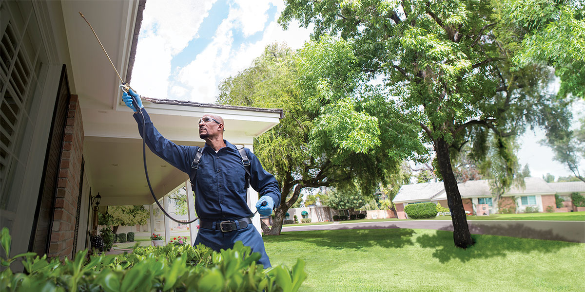 Solutions Page - Occasional Invaders