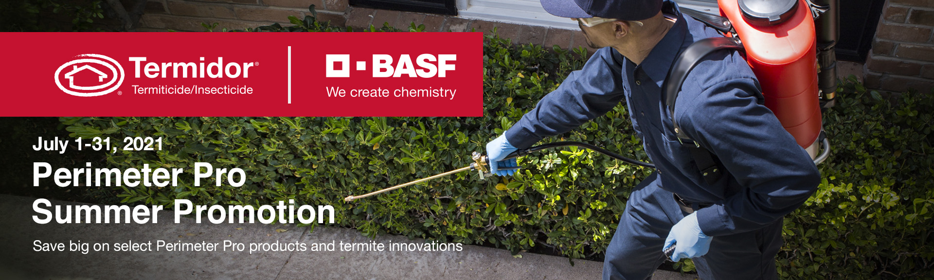 Summer promo web banner